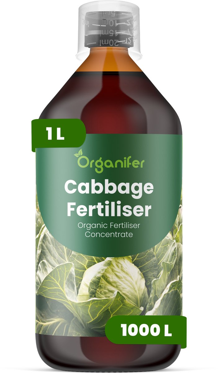 Vloeibare Meststof Voor Kool 1 L Voor 1000 L - Npk 3-4-3 - Krachtige Groei -Sterke Bladontwikkeling - Sterk Wortelstelsel - Weerbaarheid - Structurele Stevigheid - Stabiel Groeiritme - Consistente Oogstkwaliteit - Organifer