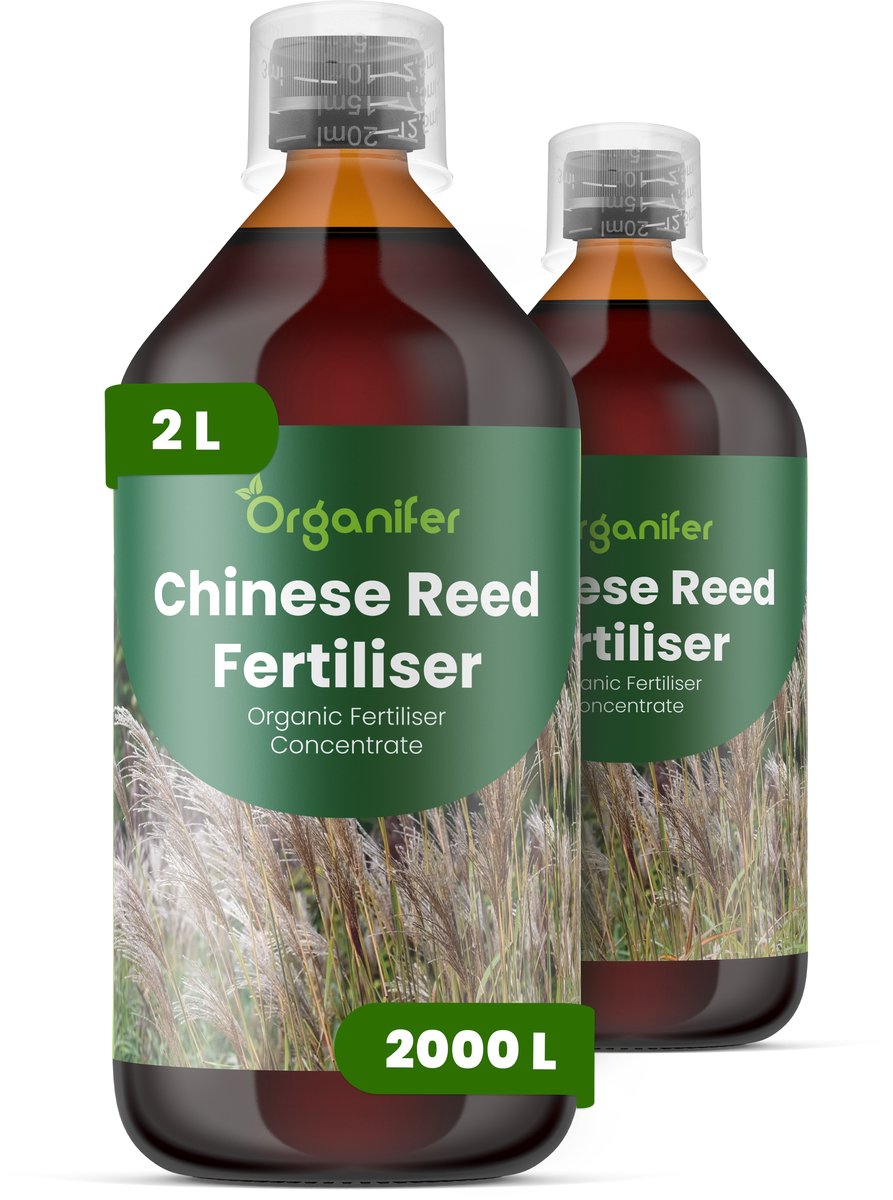 Vloeibare Meststof Voor Chinees Riet 2X1 L Voor 2000 L - Npk 3-4-3 - Siergras - Architectonische Bladeren - Sterke Pluimvorming - Rizoom Ontwikkeling - Windbestendige Stengels - Hittebestendig - Droogtebestendig - Organifer