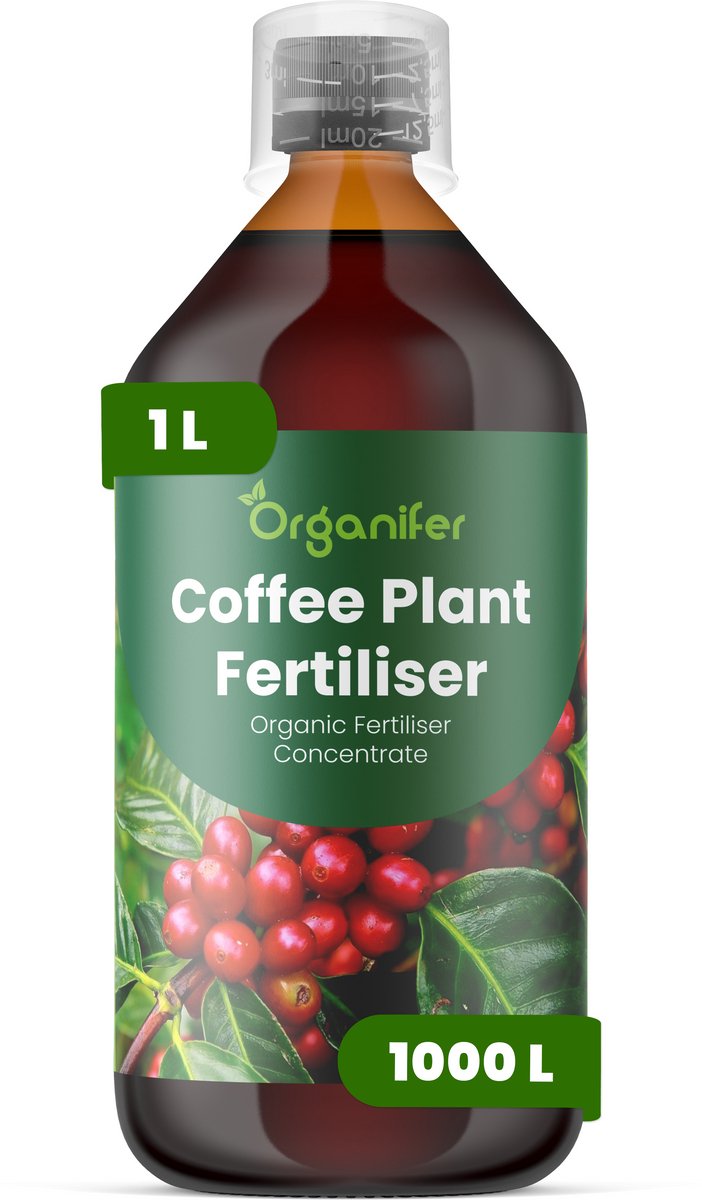 Vloeibare Meststof Voor Koffieplanten 1 L Voor 1000 L - Npk 2-1-8 - Gezonde Groei - Sterke Bladontwikkeling - Sterke Wortels - Weerbaarheid - Bloemvormin - Algehele Vitaliteit - Sierkoffievariëteiten - Organifer