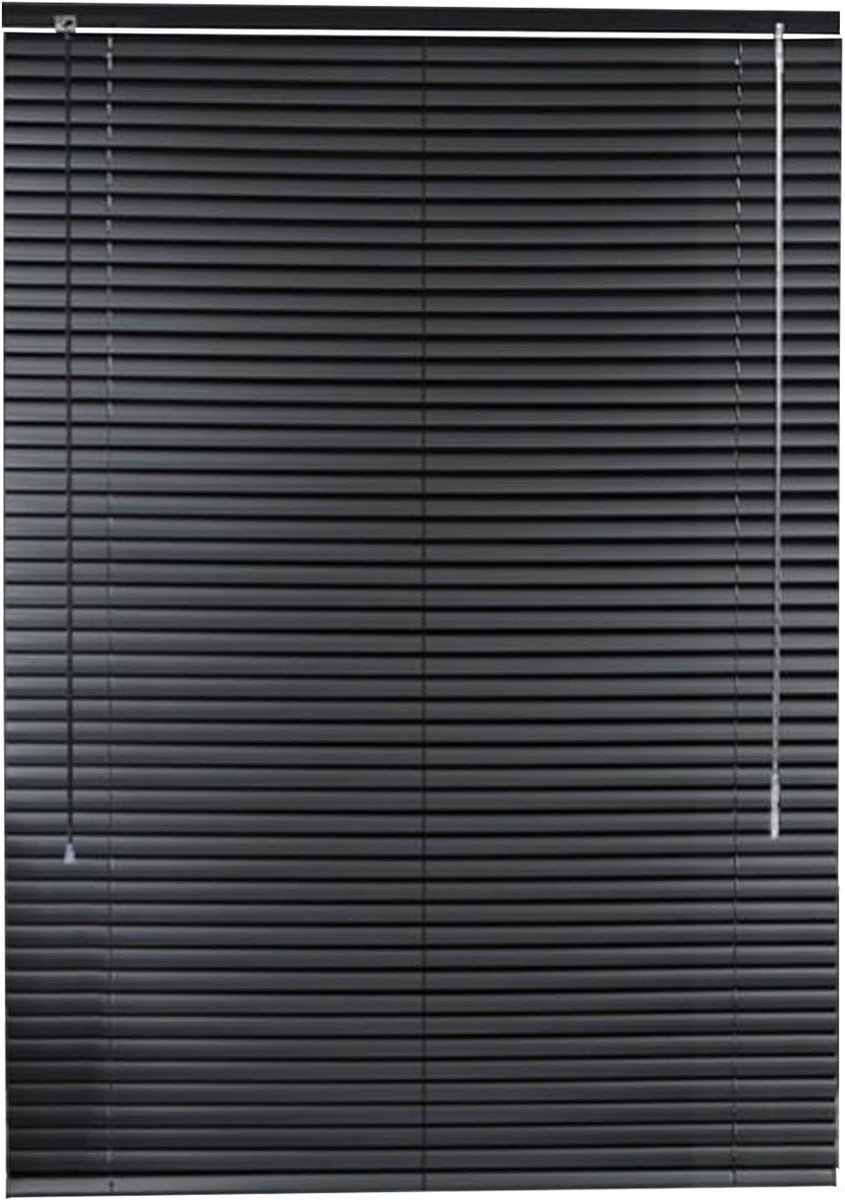 Aluminium Jaloezieën - Raambekleding Rolgordijn - Privacy Zonwering - 25mm Lamellen - 120x
