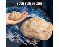 Eigen Geodes open breken - Echte Kristallen van Binnen - Experimenteerdoos met 6 Geode stenen - Verassende kristallen