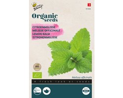 Buzzy® Organic - Citroenmelisse (BIO)