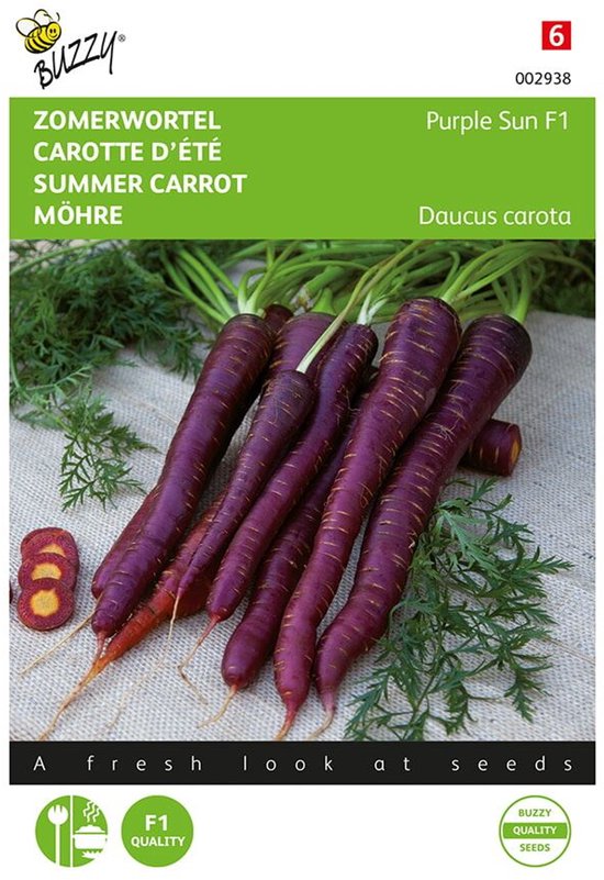 Buzzy Zaden - Wortel, Zomerwortel Purple Elite F1