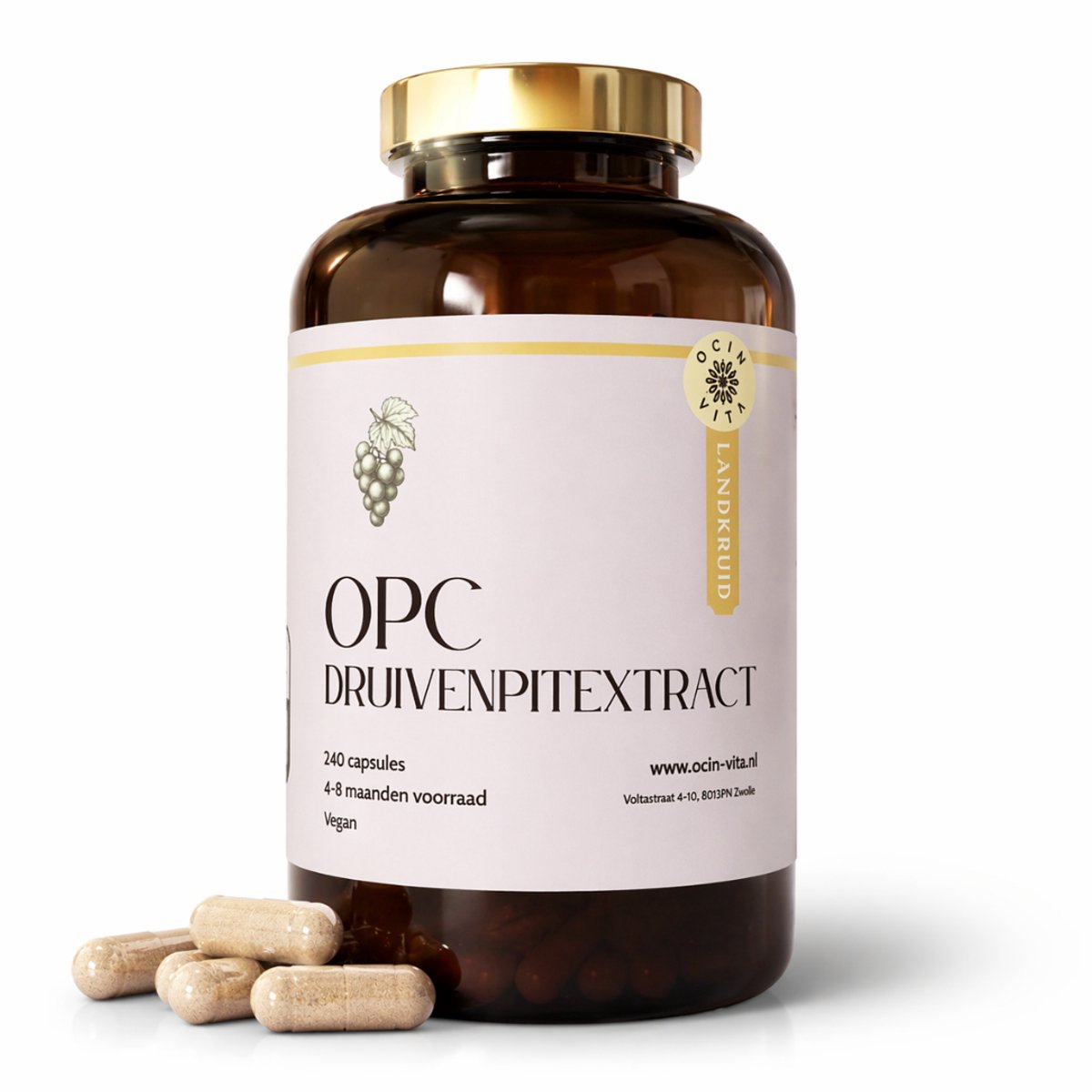 OPC Druivenpitextract Supplement 240 stuks – 550 mg per capsule – Min. 70% OPC (HPLC) – Vegan & Zonder Toevoegingen – Ocin Vita