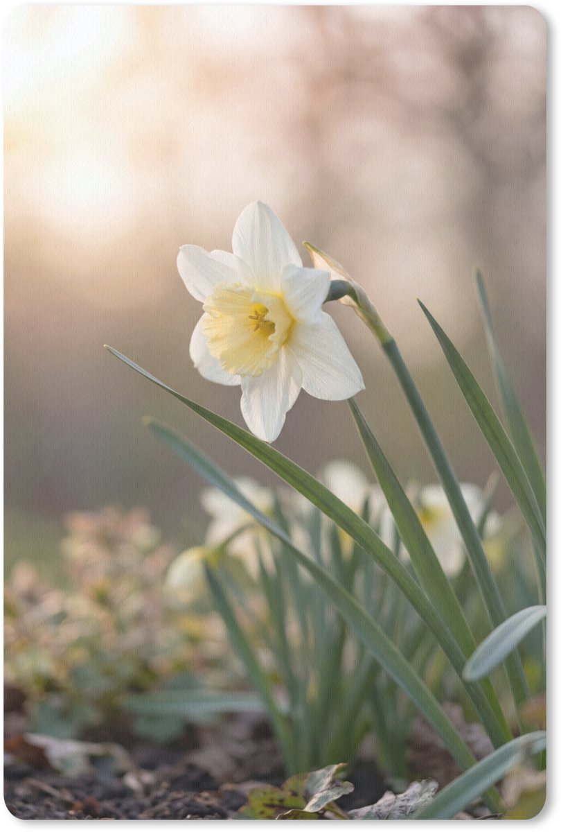 Muismat 13x20 cm - Mousepad Narcis - Bloem - Minimalistisch - Muismatten