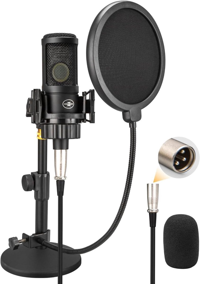 XLR Condensator Microfoon - Studio Microfoon - Opnames Maken - Ruisonderdrukking - 367 x 2121 x 841 cm - Zwart