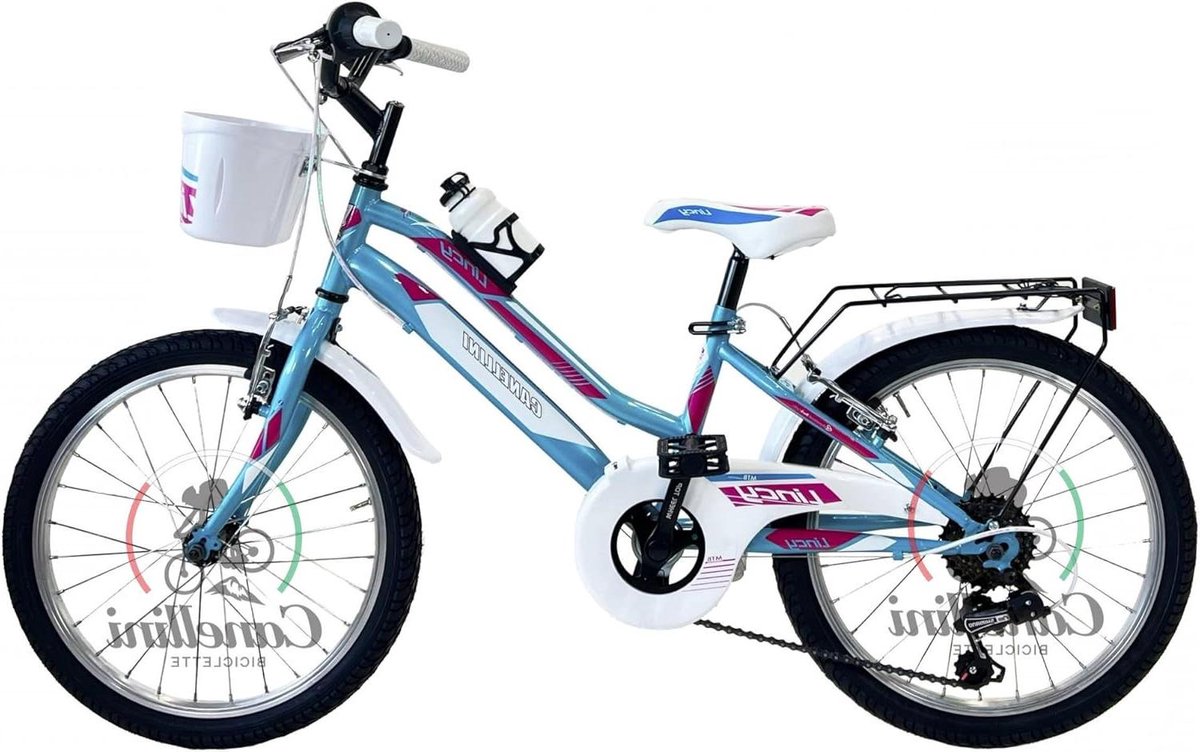Kinderfiets MTB sfiets sfiets Stadsritten Fietsen Stalen Frame 20 inch Lichtblauw fuchsia