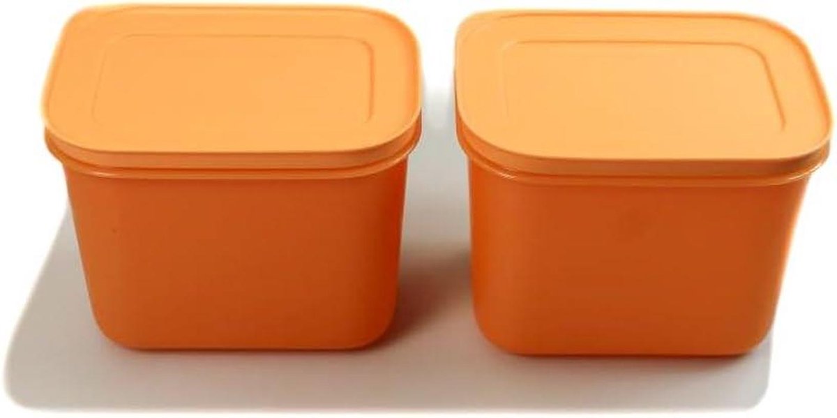 Vriezer Container - Voorraadpot Opbergbakjes - Levensmiddelen Bewaren - Flexibel Materiaal - 2 x 11 Liter - Turquoise Pastel Oranje