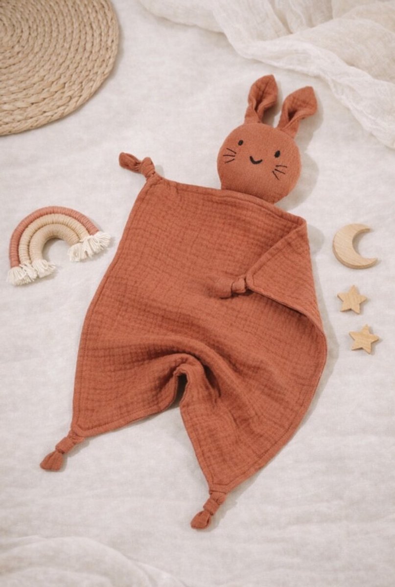Roestdroom - Hydrofiel Knuffeldoekje Baby - Droomdotje