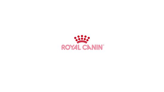 Royal Canin Hairball Care - 400 g - Kattenvoer
