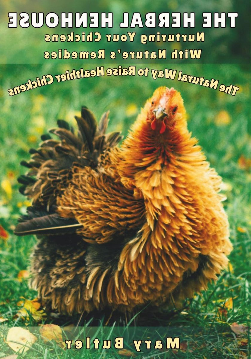 Kruiden voor Kippen - Natuurlijke Remedies - Kippenverzorging Thuis - Meer Dan 200 Recepten - 337 Pagina's - Niet Van Toepassing