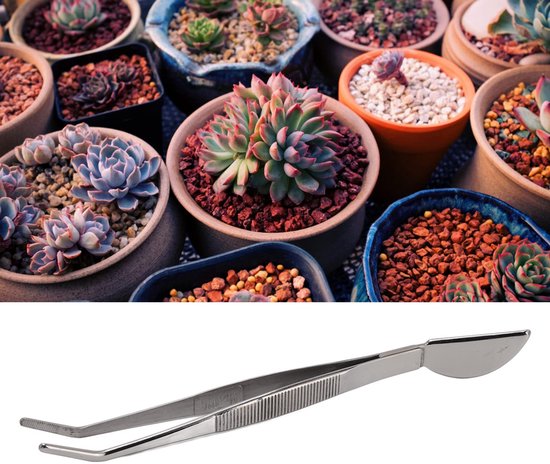 Dailygoods- Bonsai Tweezers RVS - Ergonomisch Ontwerp - Antislip Handvat - Ideaal voor Planten - Duurzaam - Veilig in Gebruik - Plantenpincet van Dailygoods — afbeelding 5
