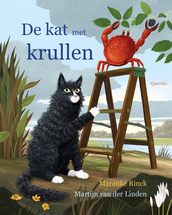 Zwarte kat met krullende vacht zit naast een ladder. Een rode krab met bessen hangt bovenop de ladder.
