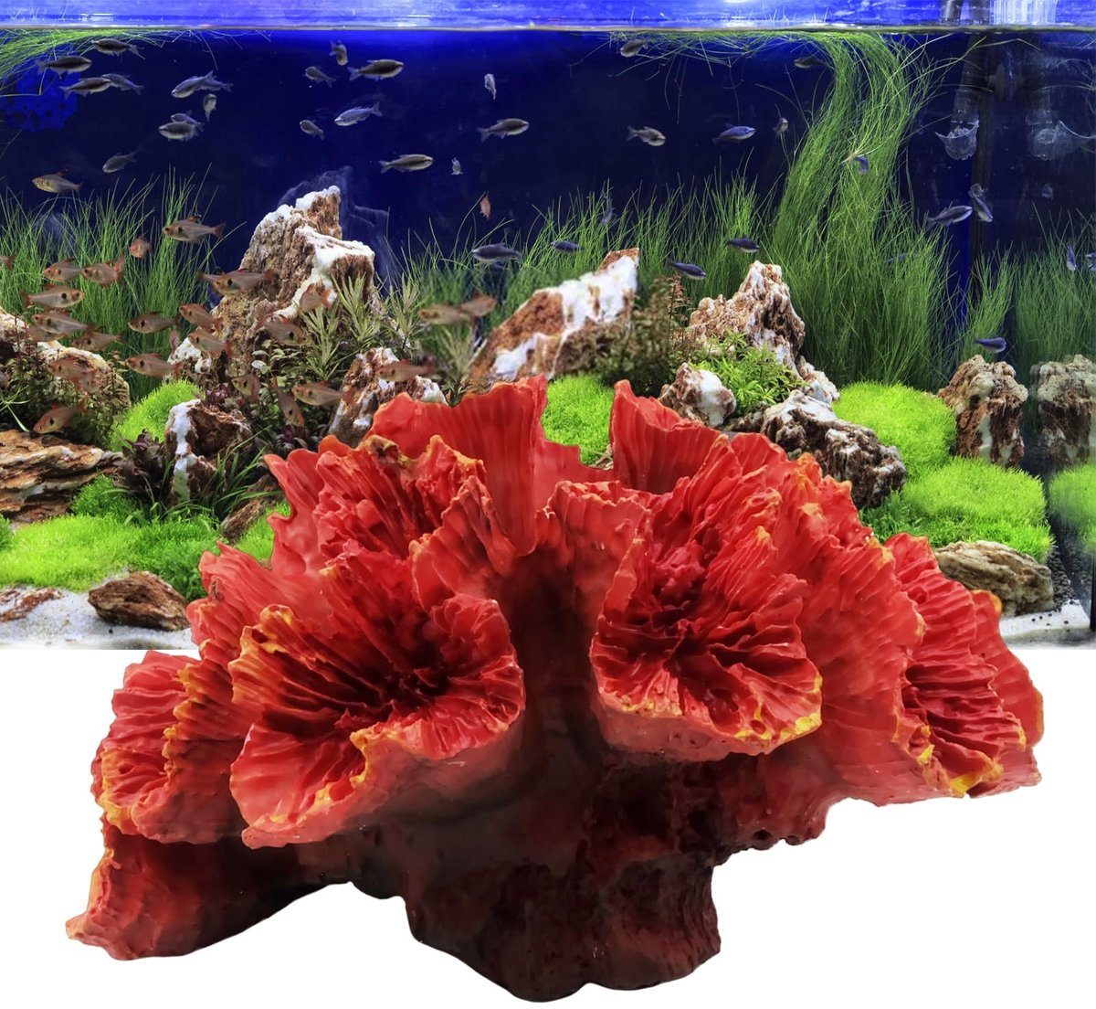 Dailygoods- Aquariumplanten Kunstmatig - Kunststof Koraal Decoratie - Milieuvriendelijk - Corrosiebestendig - Voor Aquarium - Veilig voor Waterorganismen - Aquariumdecoratie