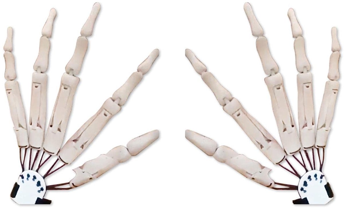 Dailygoods- Skelet Handen Flexibele Gelede Vingers - Halloween Accessoires - Cosplay Handschoenen - Zwarte/Witte Kleur - Ideaal voor Feesten - Statement-Stukken