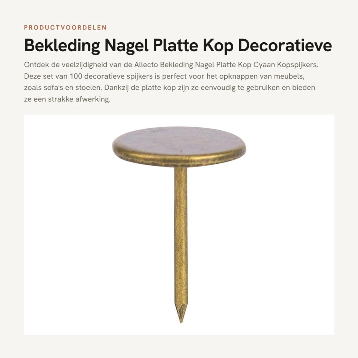 Dailygoods- Kopspijkers Cyaan - Platte Kop - Decoratieve Nagels - 100 Stuks - 14 x 20 mm - Duurzaam en Gemakkelijk te Gebruiken - Decoratieve Spijkers