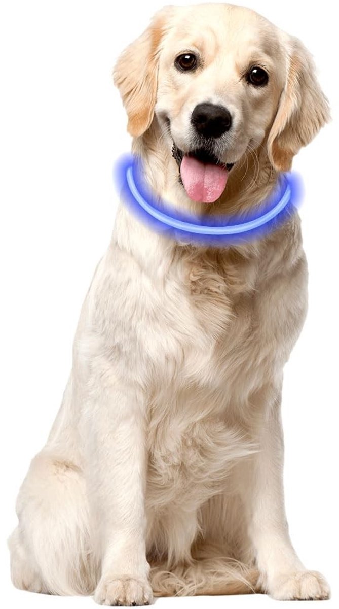 Dailygoods - Oplaadbare Lichtgevende Hondenhalsband met 3 Verlichtingsmodi
