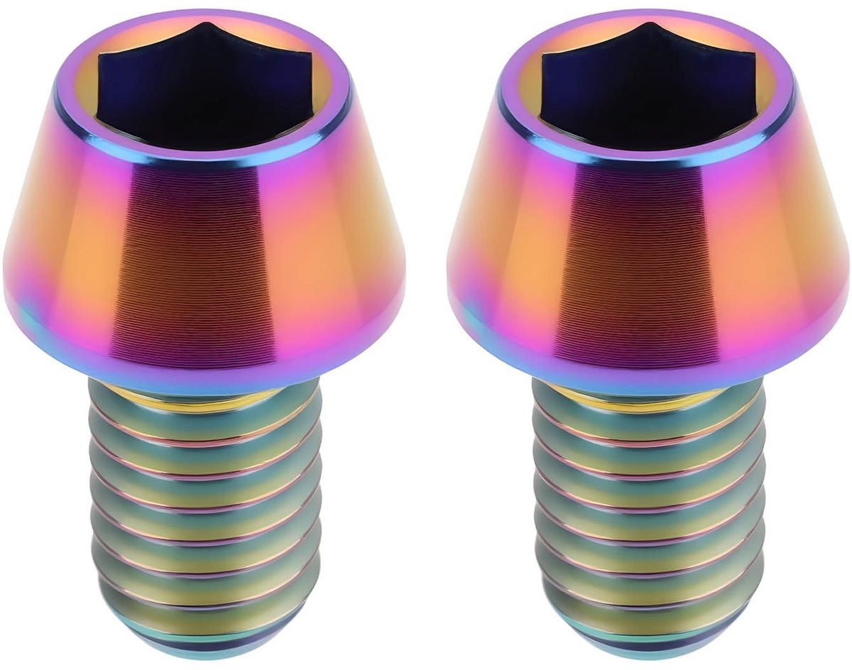 Dailygoods- Zeskant Schroeven M6x10mm - 2 Stuks - Compatibel met Fietsen - Bevestiging voor Fietsonderdelen - Veilig en Duurzaam - Geschikt voor Diverse Fietstypes - Fietsschroeven