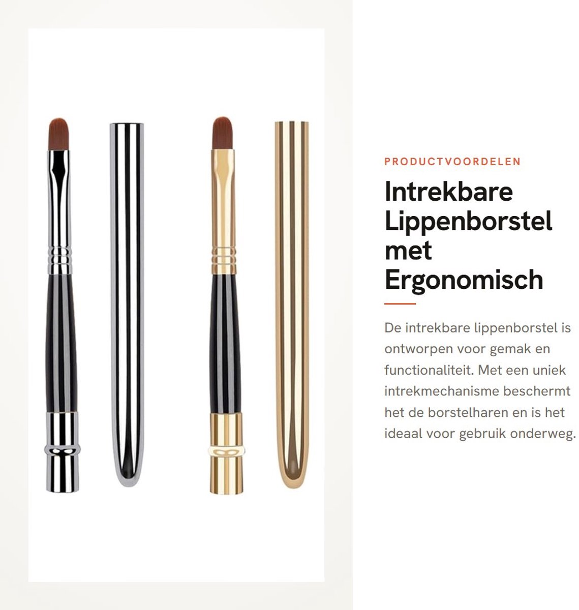 Dailygoods- Lippenborstel Intrekbaar - Aluminium Behuizing - Ergonomisch Ontwerp - Compact - Gemakkelijk Schoon Te Maken - Beschermende Borstelkop - Lippenkwast
