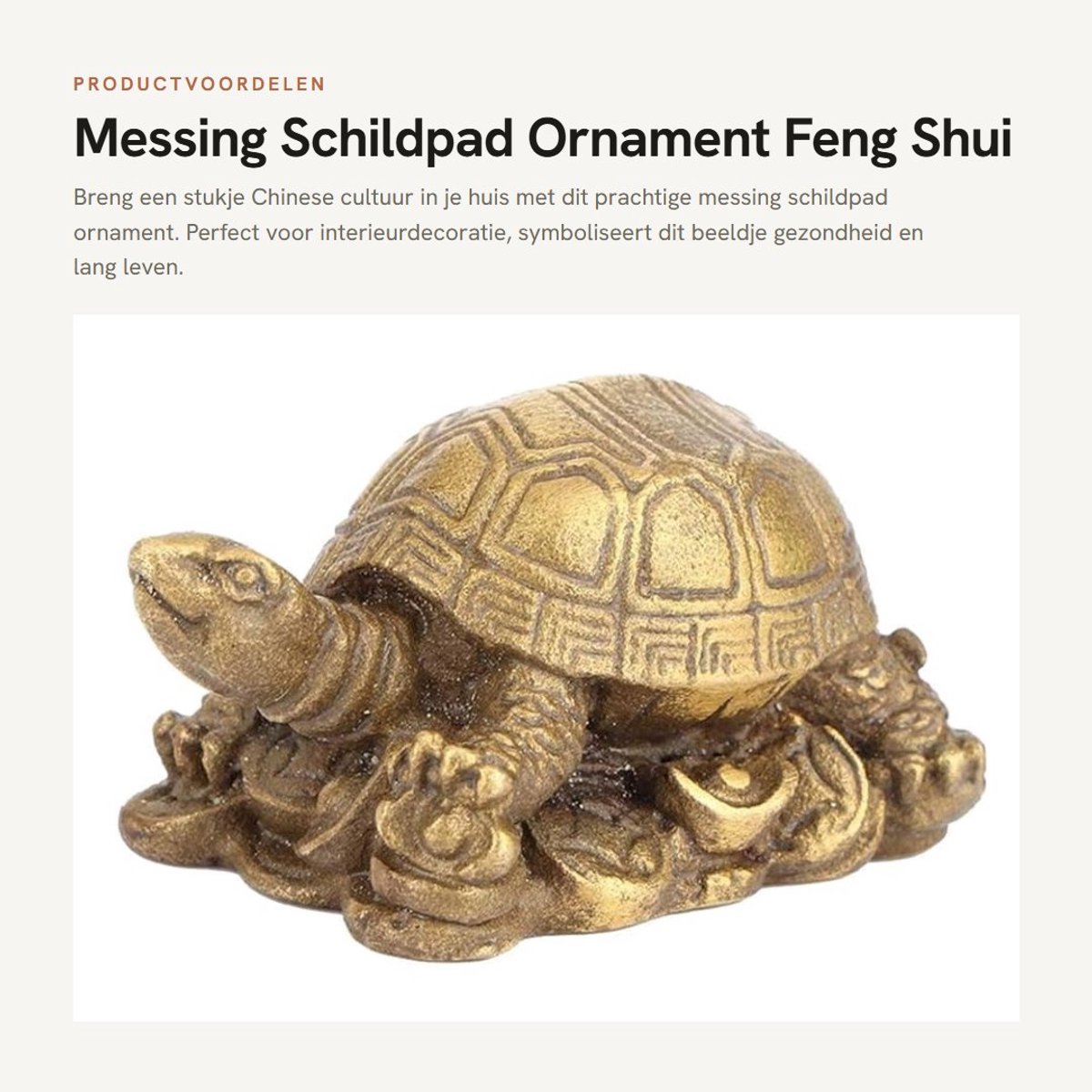 Dailygoods- Schildkröte Figur - Messing - Interieurdecoratie - Feng Shui - Geluk - Gezondheid - 5 cm lengte - Decoratiebeeldje