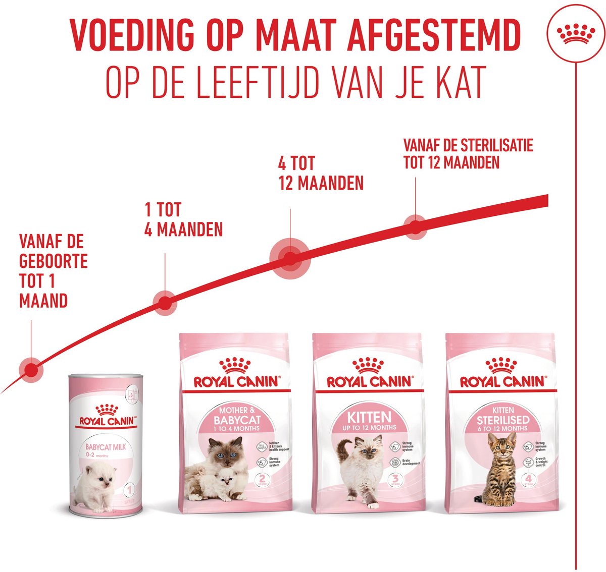 Royal Canin Kitten kittenvoer 2 x 10 kg thumbnail 2