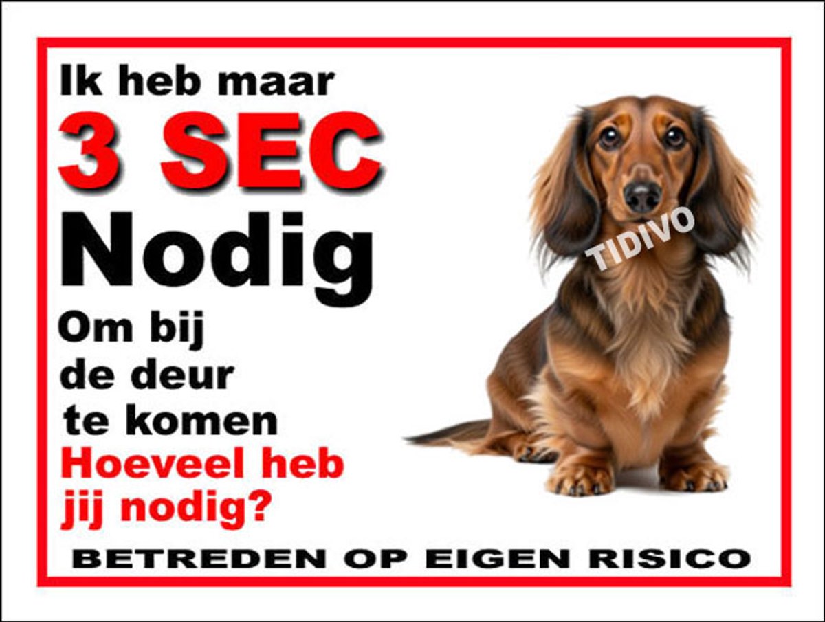 Dashond Dwerg, Langhaar 6