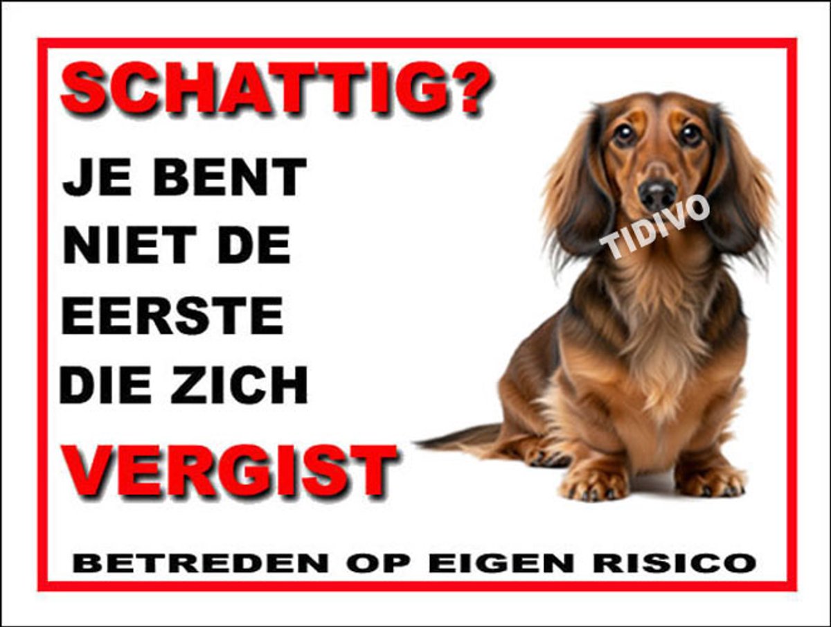 Dashond Dwerg, Langhaar 14