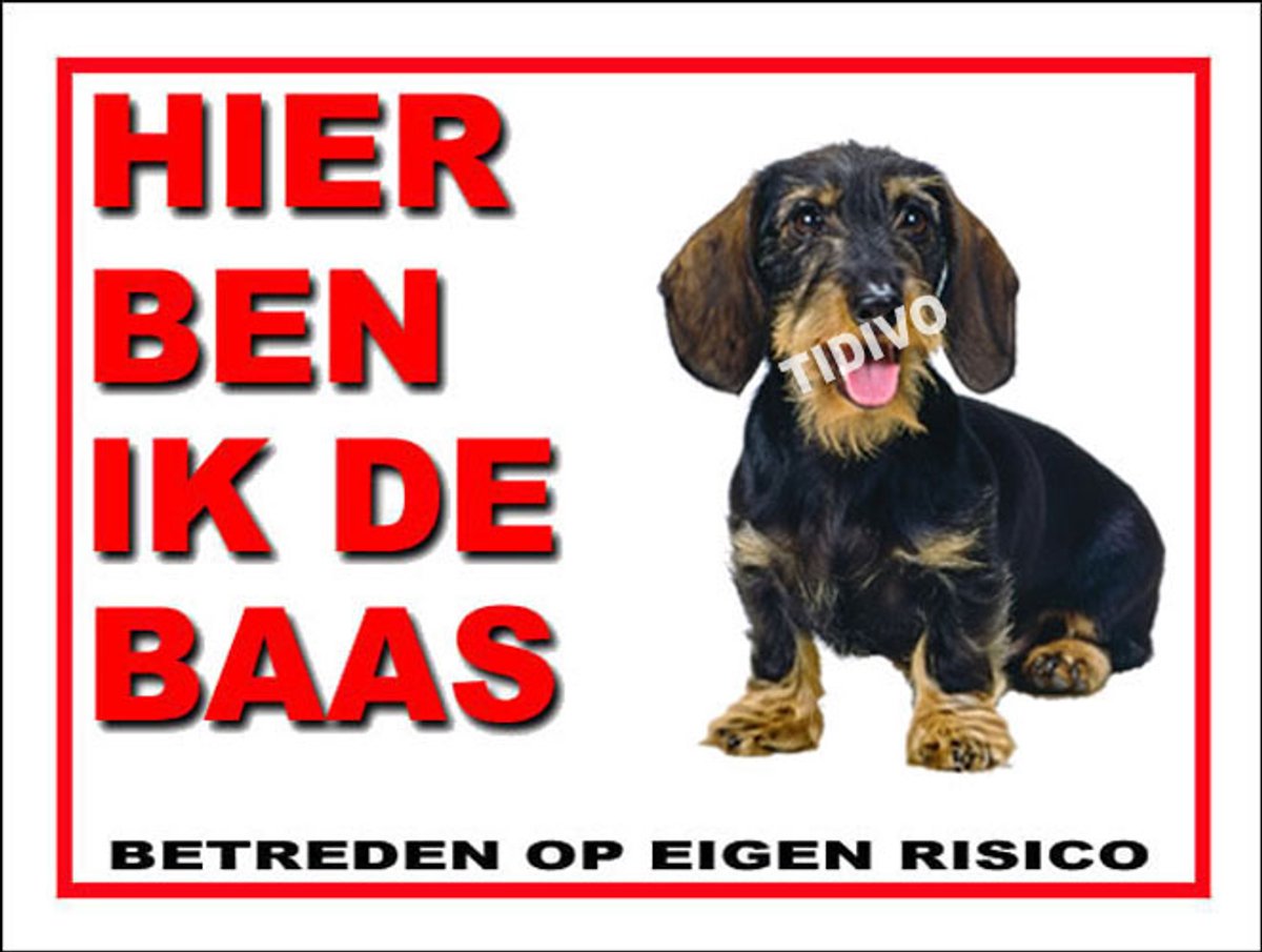 Dashond Dwerg, Ruwhaar 2