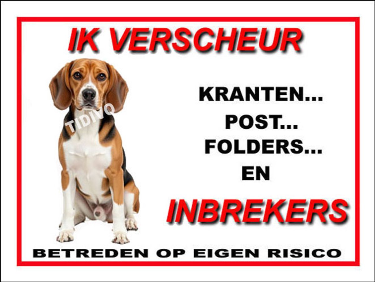 Beagle Harrier 8