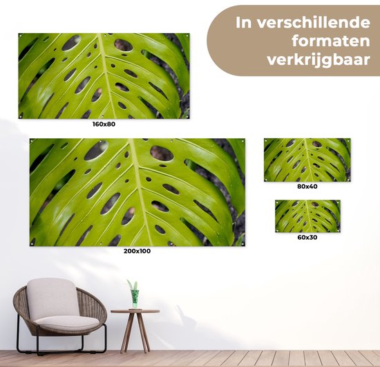 Affiche de jardin Groot feuille botanique de la plante du trou - 60x30 cm - Toile de jardin - Affiche d'extérieur