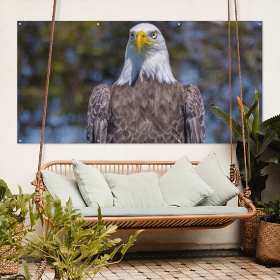 Affiche de clôture Un pygargue à tête blanche américain est assis sur un poteau en bois - 200x100 cm - Toile jardin