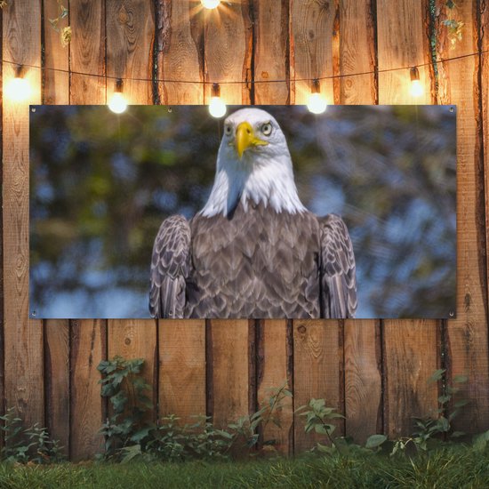 Affiche de clôture Un pygargue à tête blanche américain est assis sur un poteau en bois - 200x100 cm - Toile jardin