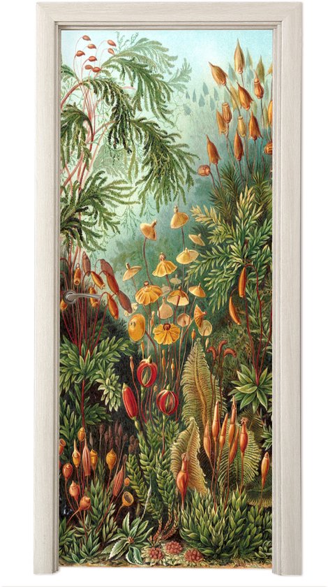 Deursticker met een gedetailleerde illustratie van diverse tropische planten en bloemen.