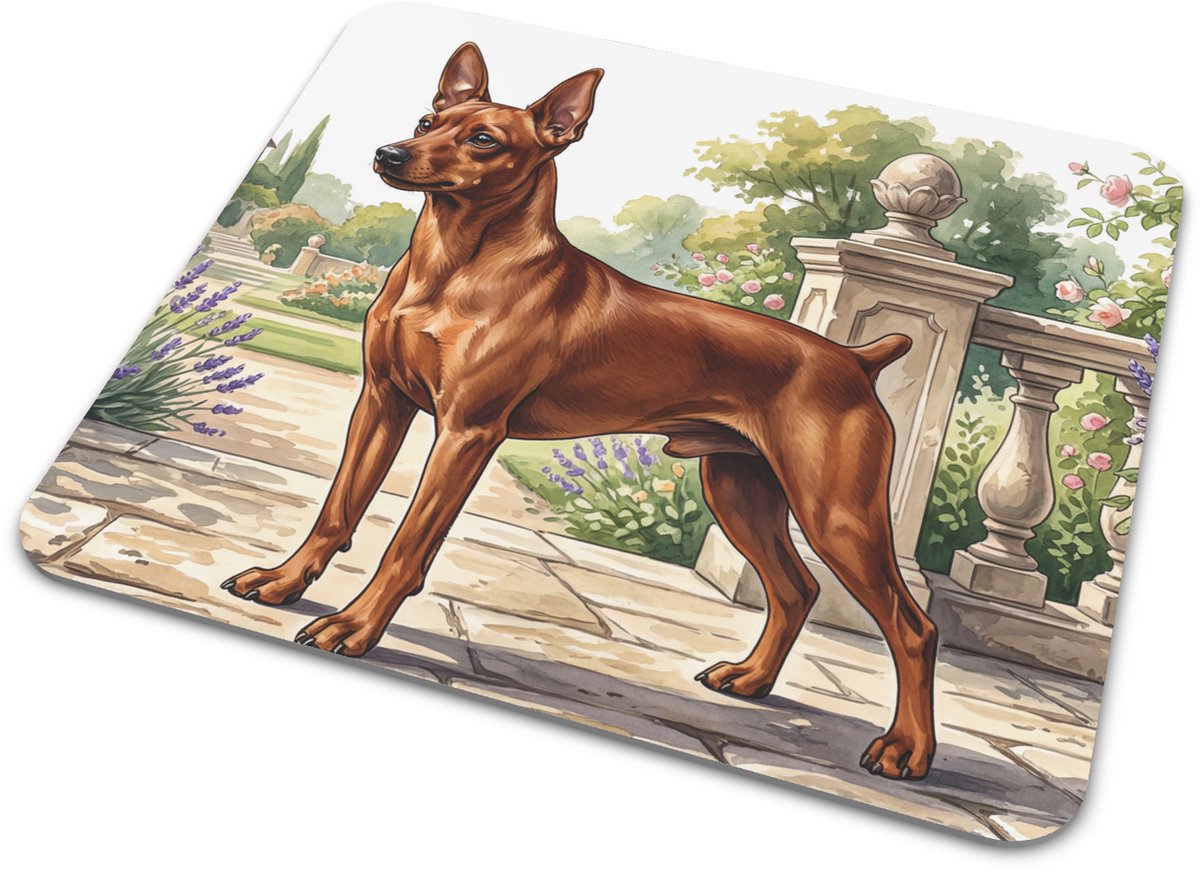 Prachtige muismat met illustratie van een Dwergpinscher - Decoratieve bureau onderlegger voor kantoor en thuiswerkplek - Honden Serie sfeervol aquarel kunstwerk - Leuk cadeau voor hondenliefhebber