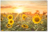 Tuinposter - Zonnebloemen - Zon - Tuin - Natuur - 120x80 cm - Tuinschilderij - Muurdecoratie - Wanddecoratie