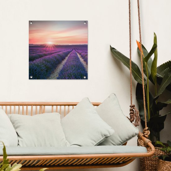 Tuinposter - Lavendel - Bloemen - Paars - Tuin - 50x50 cm - Tuinschilderij - Schuttingdoek - Tuindecoratie