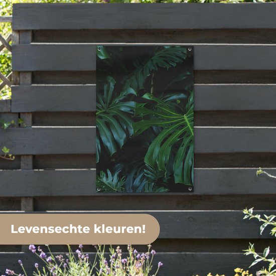 Posters de jardin Jungle - Vert - Feuilles - 60x90 cm - Toile de jardin