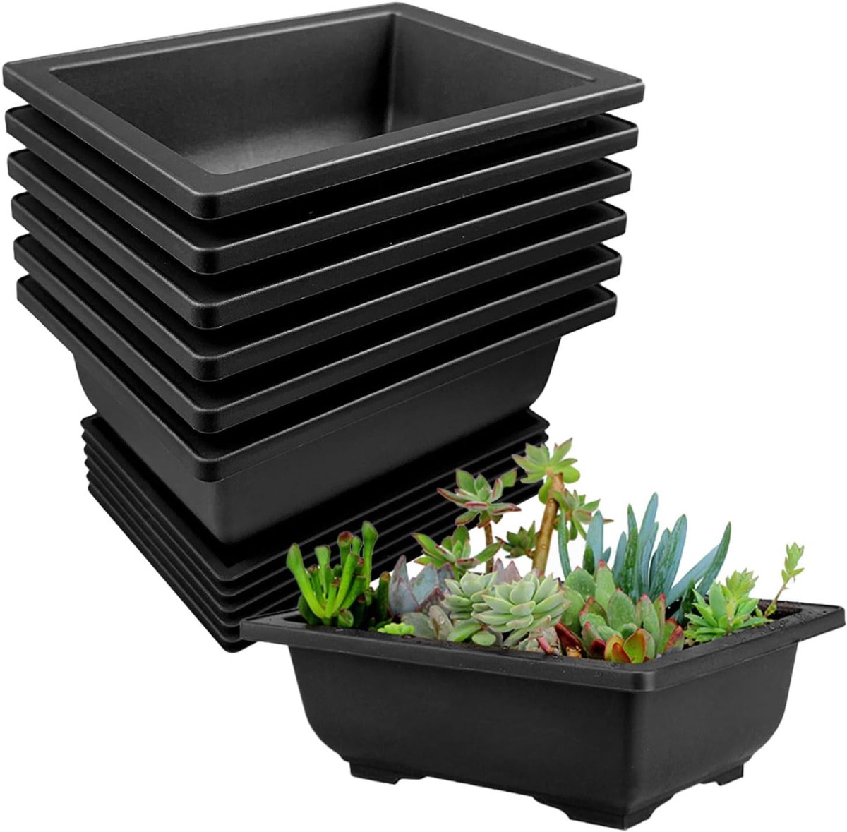 HEZIVO® Bonsai Schaal - Pot met Tray - Kunststof - Herbruikbaar - 6 Stuks