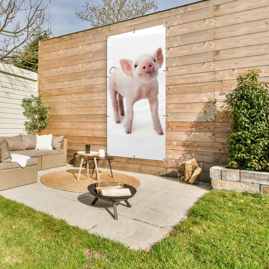 Affiche de clôture Cochon - Animaux - Wit - 100x200 cm - Toile de jardin