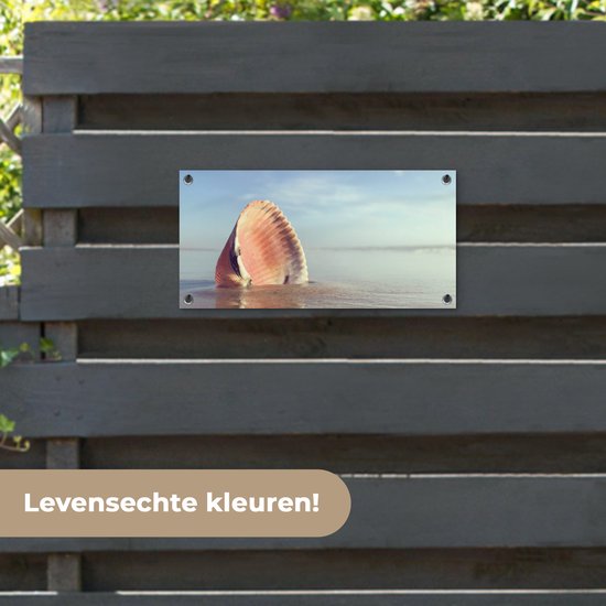 Poster de jardin Coquillage - Plage - Mer - 60x30 cm - Toile de jardin - Poster extérieur
