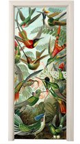 Sticker pour porte Trochilidae - Maîtres anciens - Art - 80x205 cm - Affiche de porte