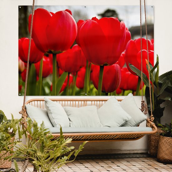 Gros plan de tulipes rouges Affiche de jardin 180x120 cm - Toile de jardin / Toile d'extérieur / Peintures d'extérieur (décoration de jardin) XXL / Groot format!