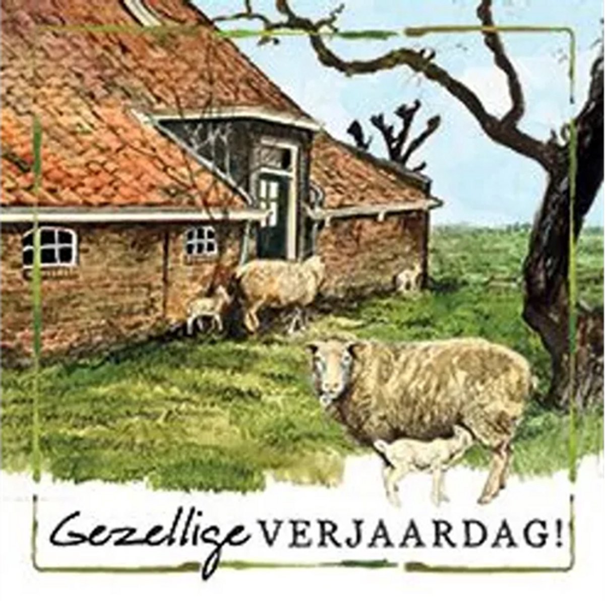 Rien Poortvliet Wenskaart Gezellige VERJAARDAG! – Schapen en Boerderij – 13,5 x 13,5 cm