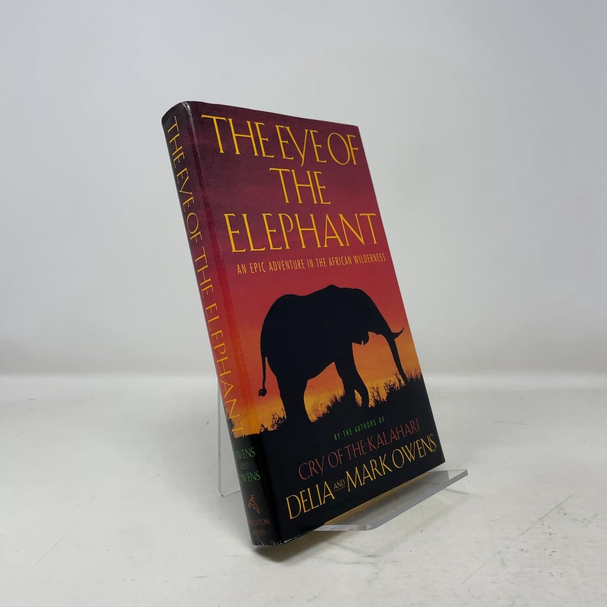 The Eye Of The Elephant