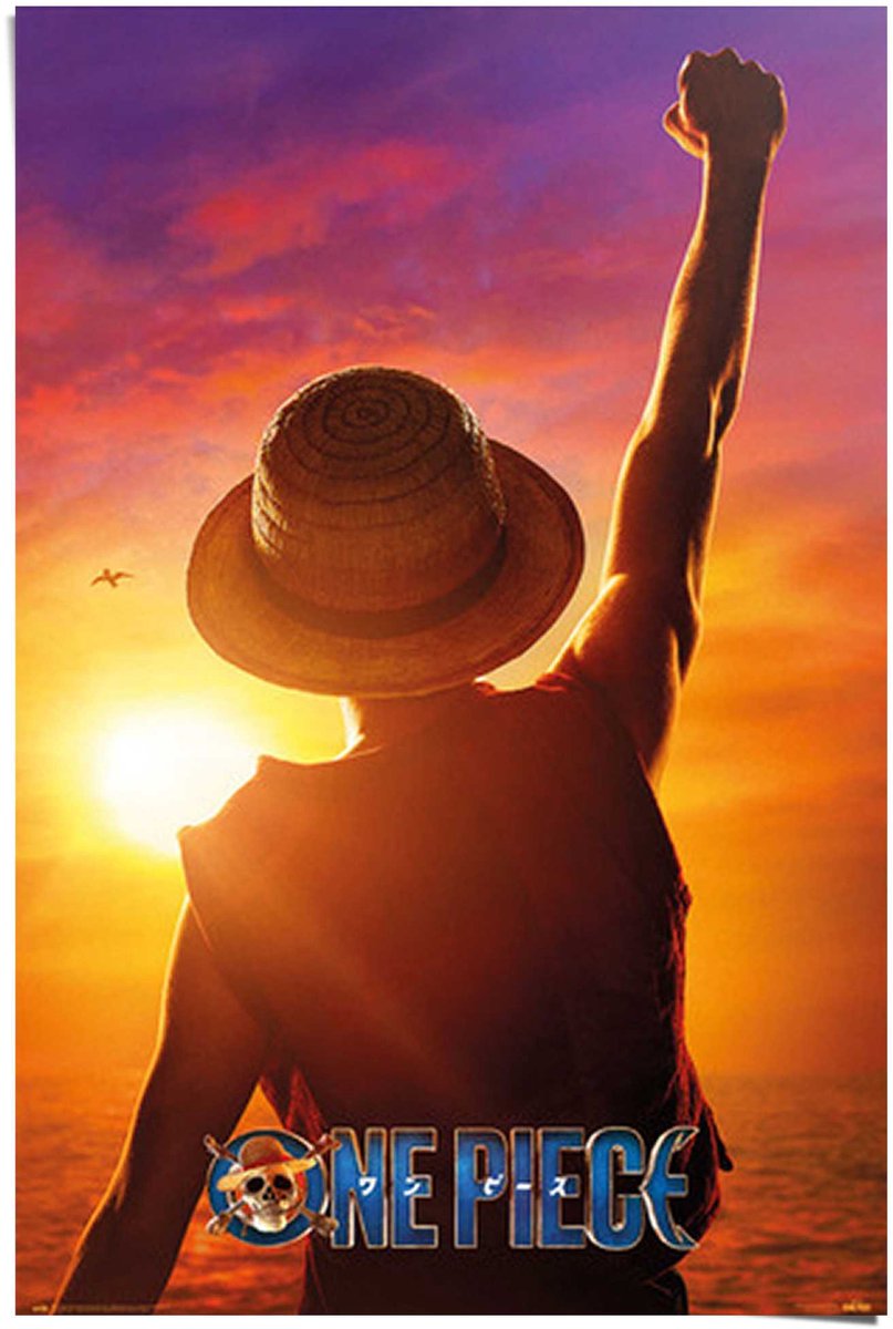 REINDERS Poster One Piece - Monkey D. Luffy - 91,5 x 61 - Papier - REINDERS oranje