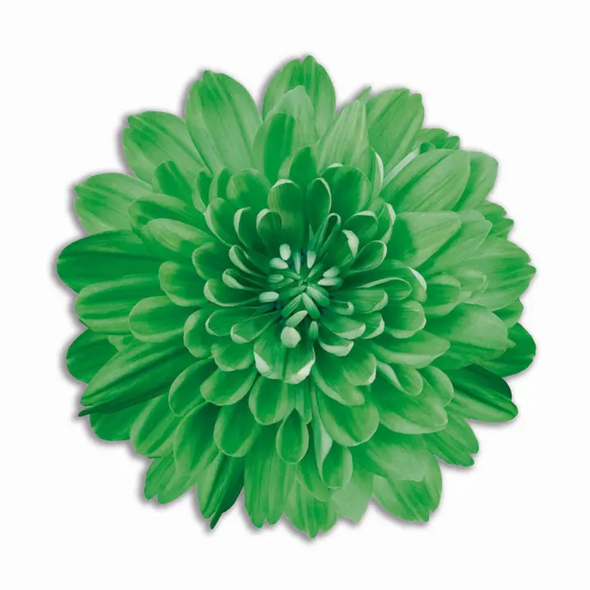 Ronde gekleurde PVC Placemat Bouquet Lente - Groene Bloem Ø35 cm – Afwasbare Tafel Placemat – Made in Italy