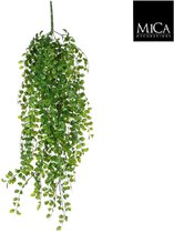 Mica Decorations Ficus Kunst Hangplant - H81 cm - Groen