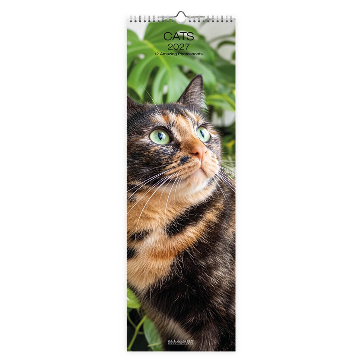 Katten Slimline Kalender 2027