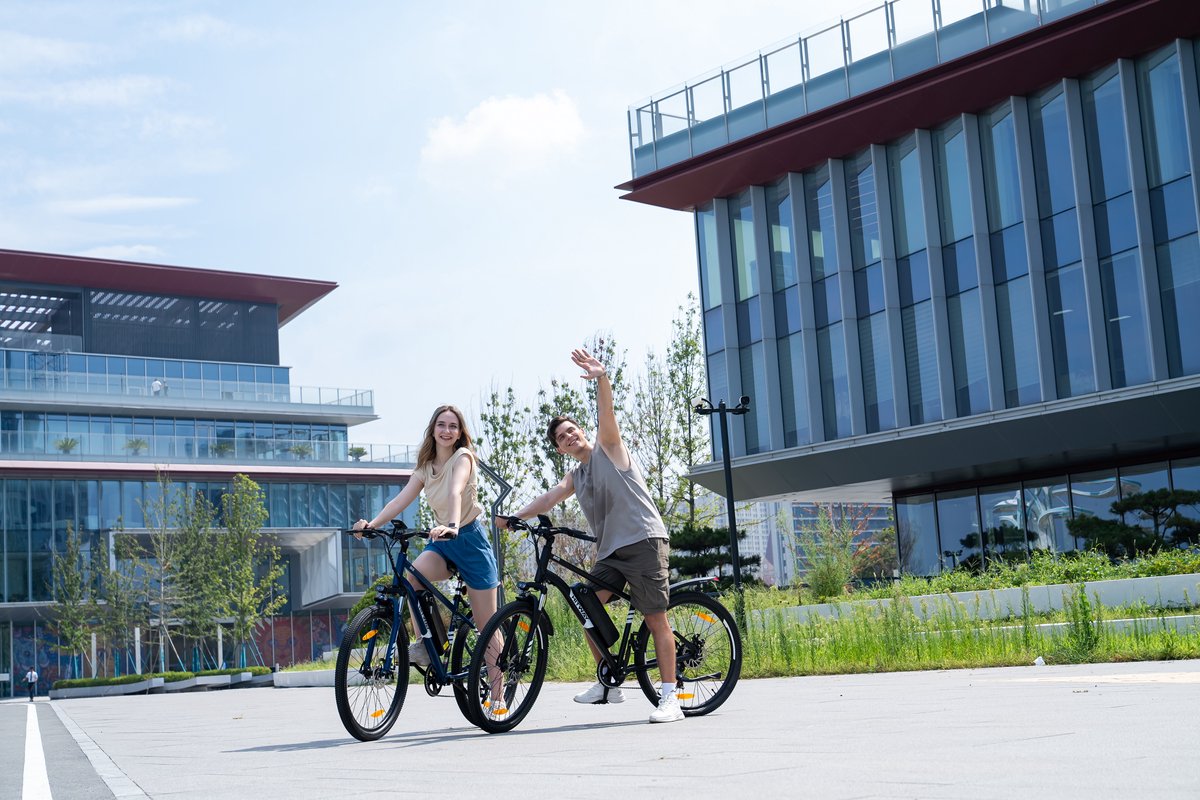 Hitway Elektrische Fiets BK15 Pro - 27.5 Inch City Commuter EBike met Afneembare 36V 13Ah Lithium Batterij - Mountain E-Bike met 250W Motor - 7 Versnellingen - IP54 Waterdicht - Elektrische Fietsen – foto 6