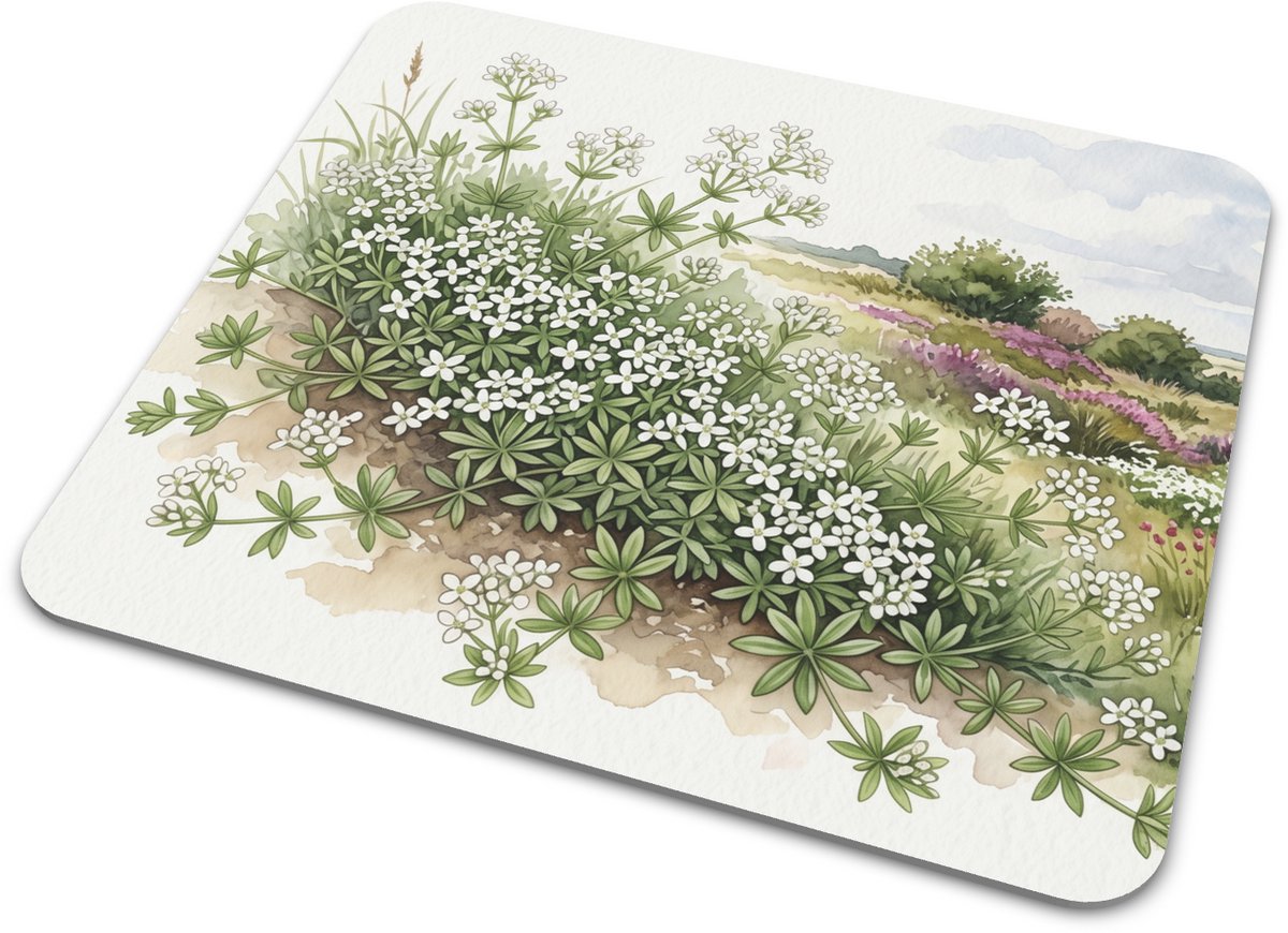 Rechthoekige Muismat - Liggend Walstro (Galium saxatile) in Heidelandschap - Aquarel Series Natuur Illustratie - Sfeervolle Bureau Accessoire & Praktisch Cadeau Voor Buitenliefhebber - 22x20 cm
